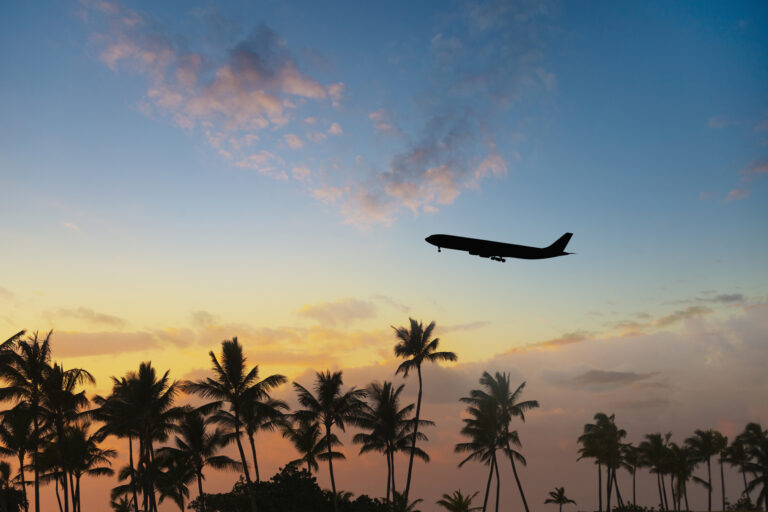 silhouette of airplane flying over palm trees in sunset getty