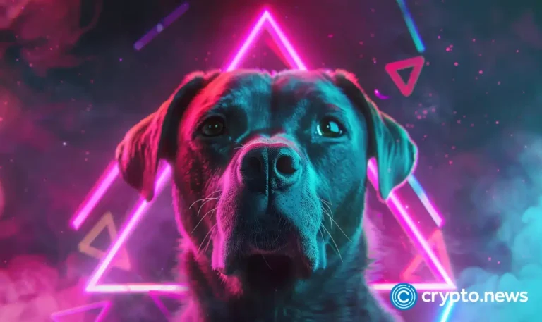 crypto news Why a DOGS memecoin nearly broke the Toncoin blockchain option01