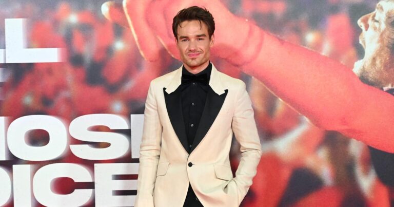 Everything to Know So Far Liam Payne