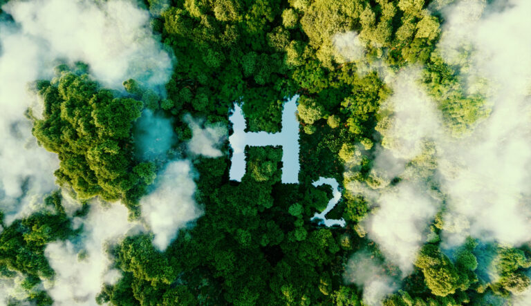 hydrogen in forest