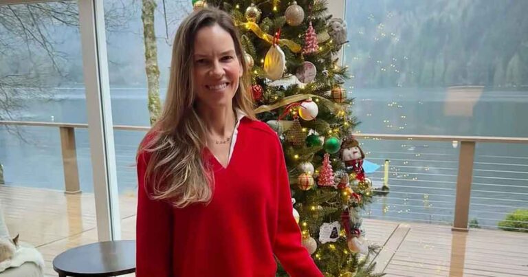 Hilary Swank Poses With 1 of Her Twins in Festive Holiday Photo 01 2024