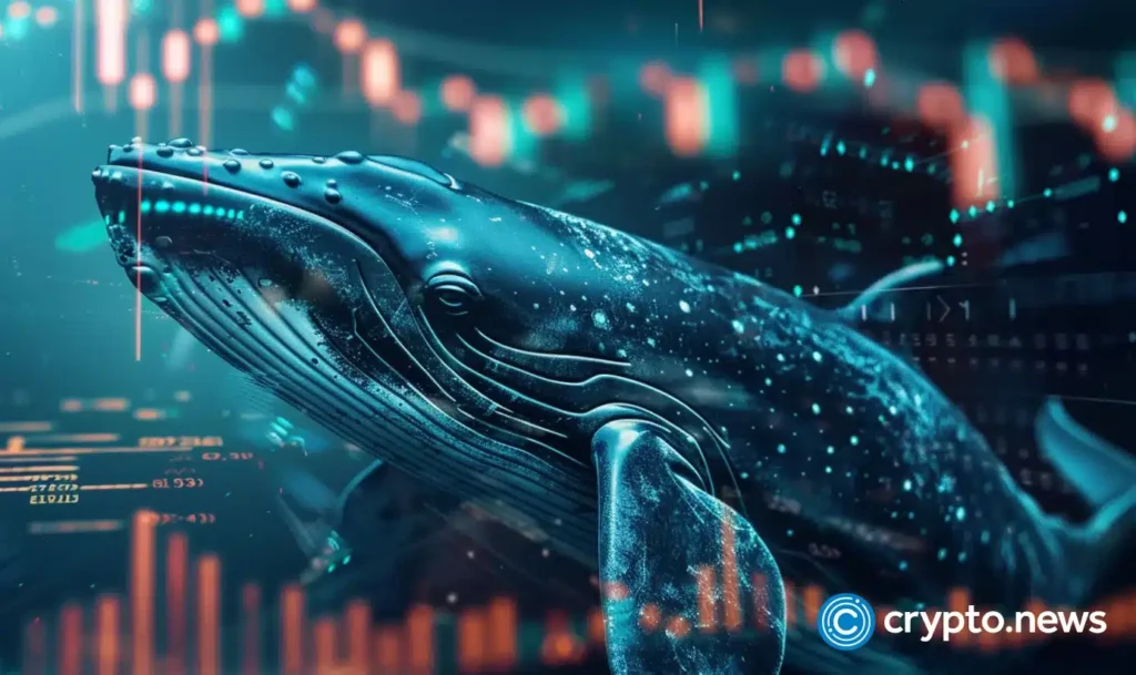 crypto news whale option05