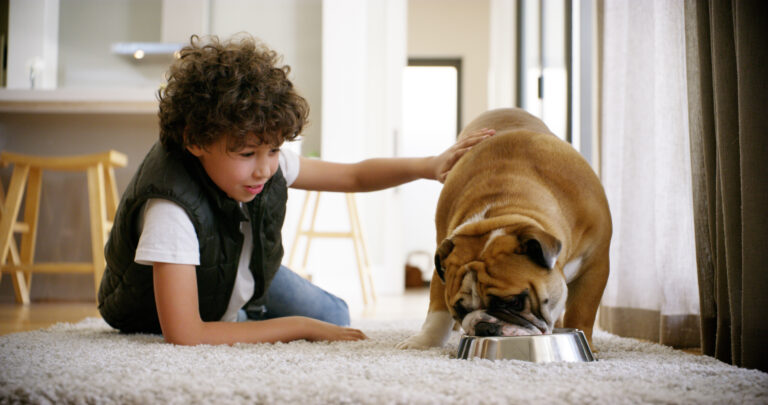 21 07 20 a dog eating from a bowl with a child gettyimages 1132780888