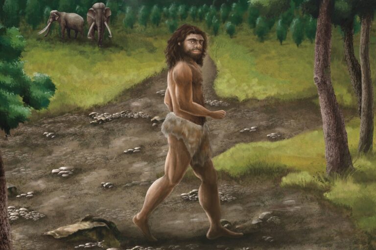 pleistocene age denisovan male in taiwan illustration