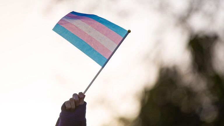 trans flag
