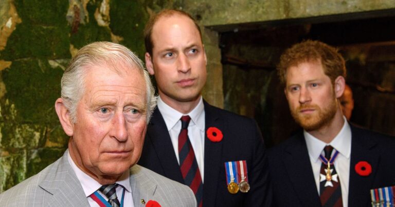 Prince Harry and Father King Charles IIIs Ups and Downs Through the Years A Timeline 268