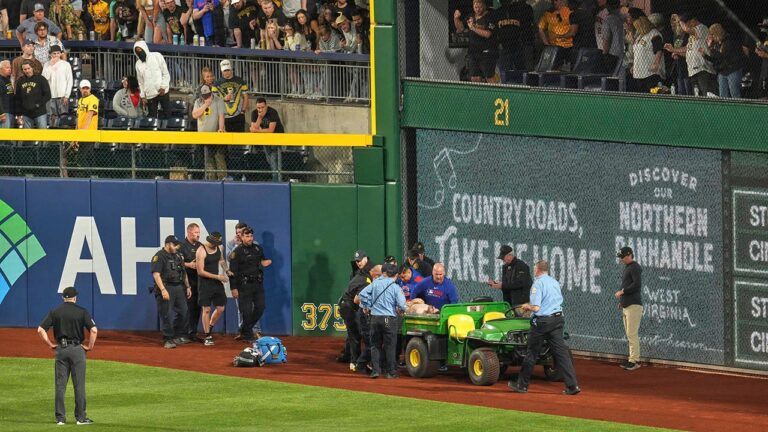 baseball fan fall