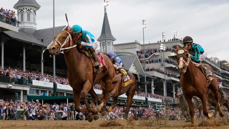 racehorses