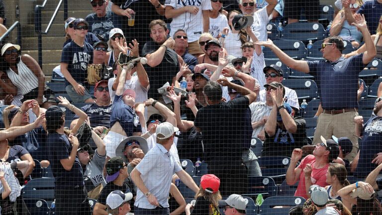 yankees fans